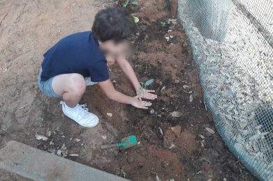 imageedit_24_4472257996
